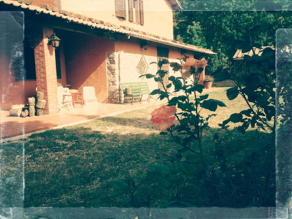 Отель Casa Bindi Triana Экстерьер фото